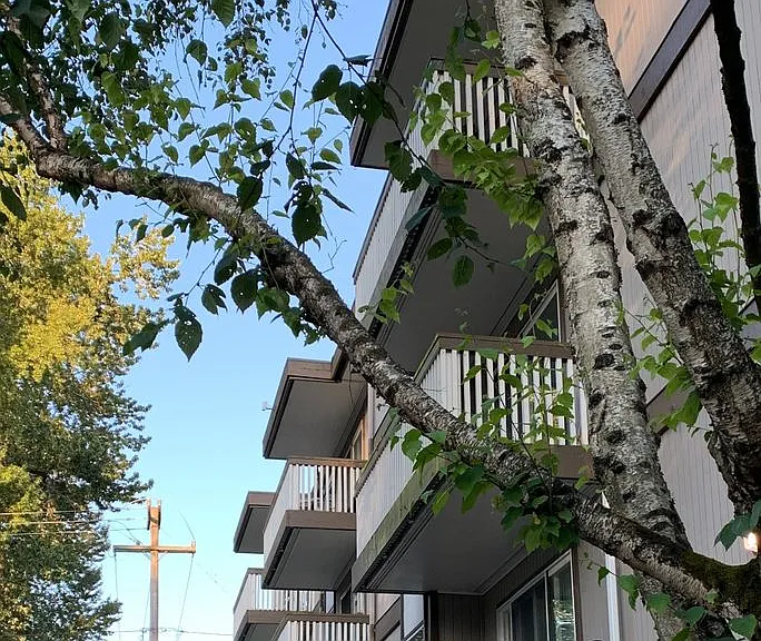 Ravenna House — Photo 20