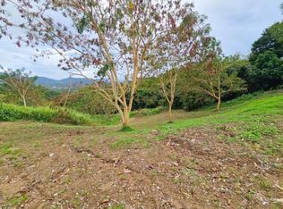 Bo Guaraguao Sector, Bayamon, PR 00956