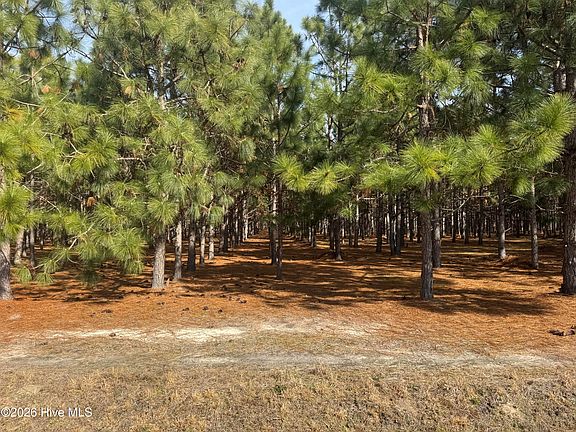 2nd image of 0 Butler Mill Rd Tract 1