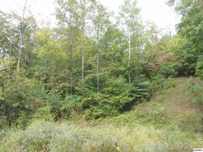 Rolen Hollow Rd, Pigeon forge, TN, 37863