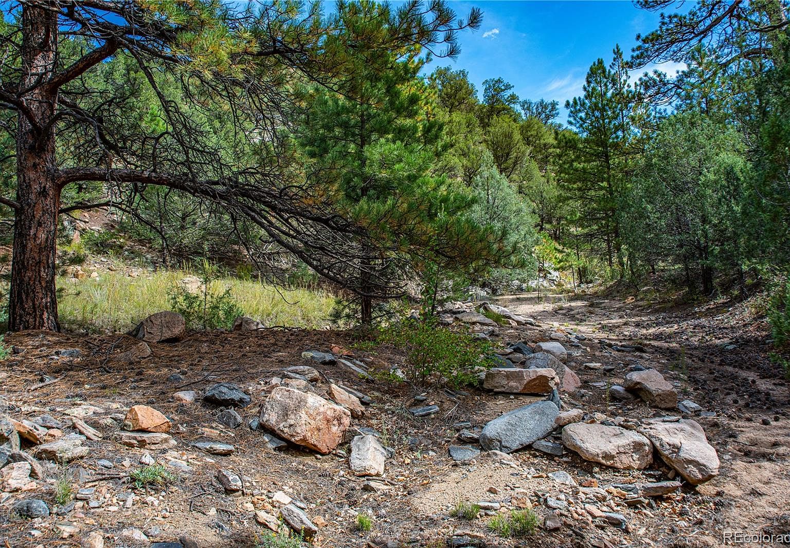 Lot 16 Mcclure Gulch, Cotopaxi, CO 81223 Zillow