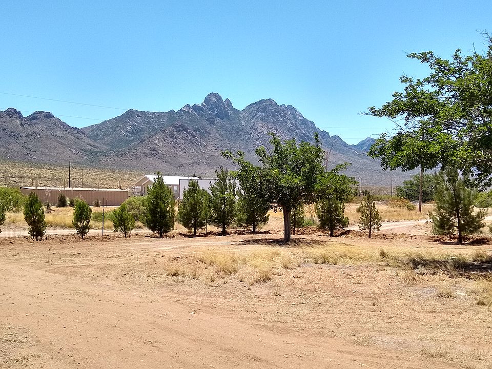 View from center of lot