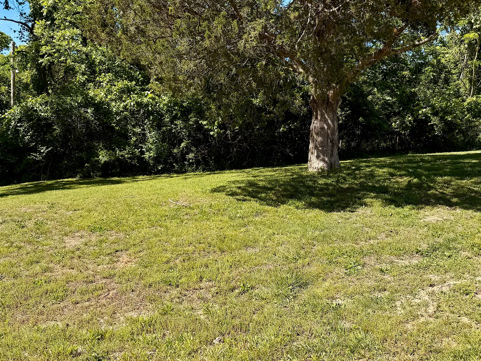 Studio, $500 — Photo 2