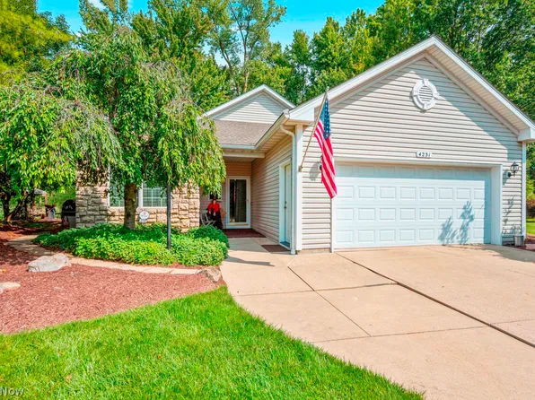 4231 Sunfish Cv, Avon, OH 44011