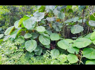 Opakapaka St LOT 8, Pahoa, HI 96778