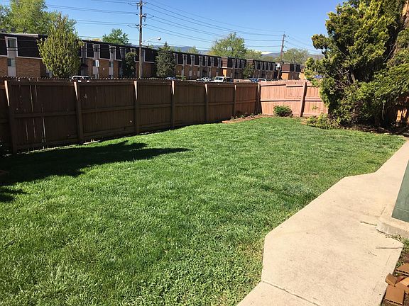 Back Yard - summer time