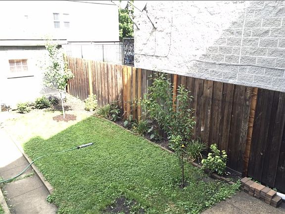 Back yard