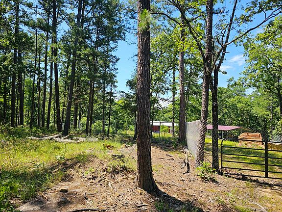 4th image of 271 Coon Dog Path
