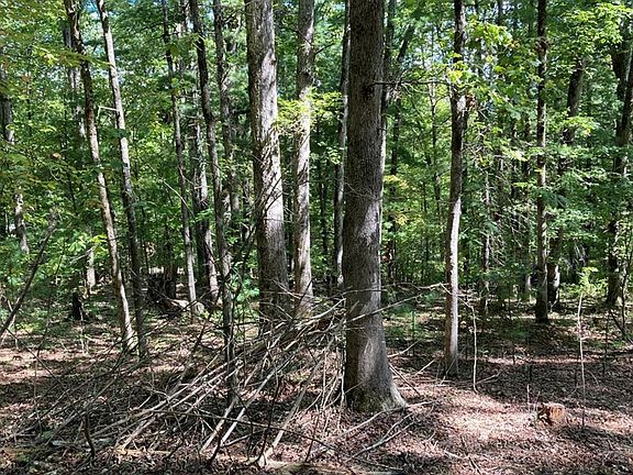 5th image of Township Road 2 Rosenkranz Ln