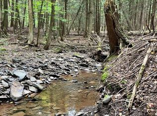 451 Bruce Porn Rd, Stamford, NY 12167