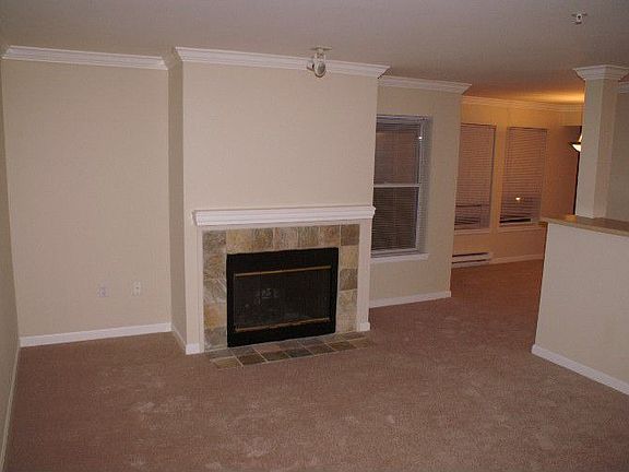 Nice big LR with crown molding and fireplace