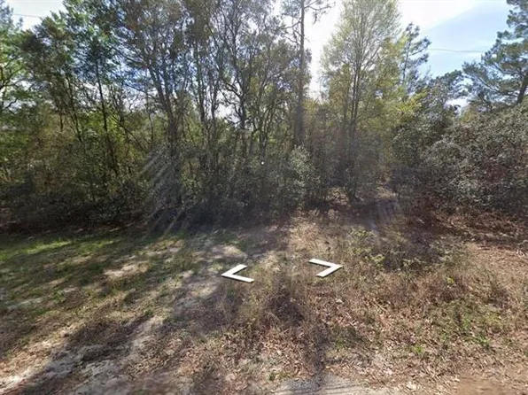SW 90th St, Dunnellon, FL 34432