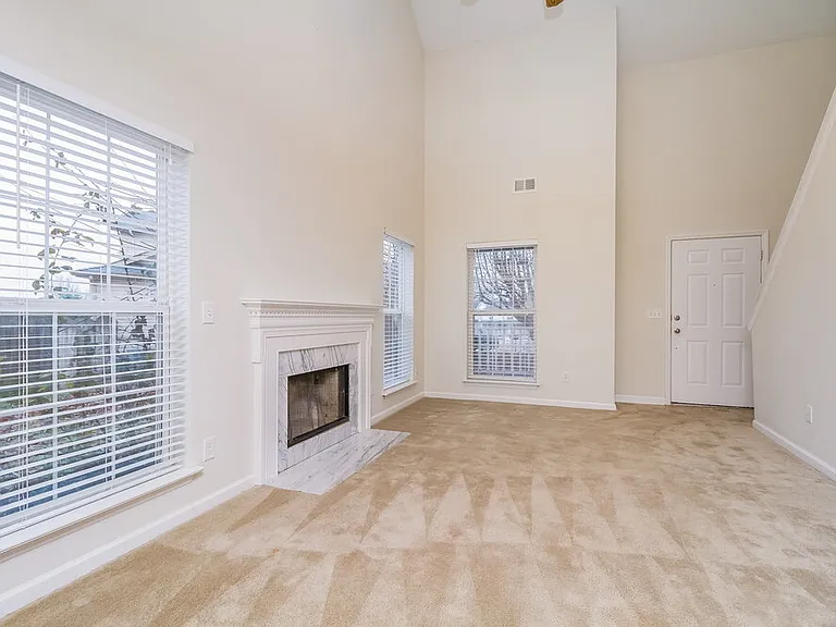 608 Birchbrook Ct — Photo 2