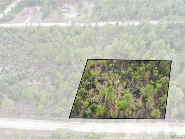 0 NE 132nd Ter Lot 3, Williston, FL 32696
