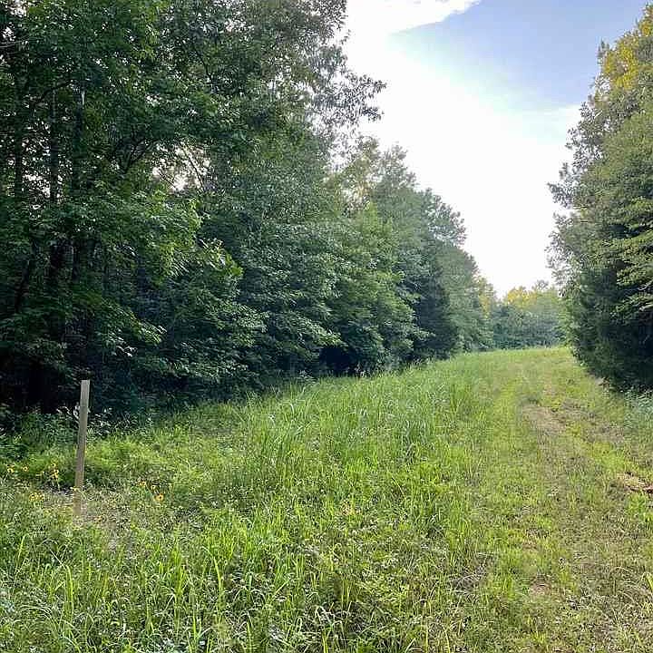 1st image of County Road 316