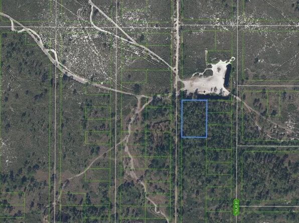 881 Papaya St, Lake Placid, FL 33852