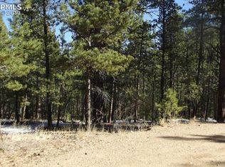 299 Pine Forest Rd, Lake George, CO 80827