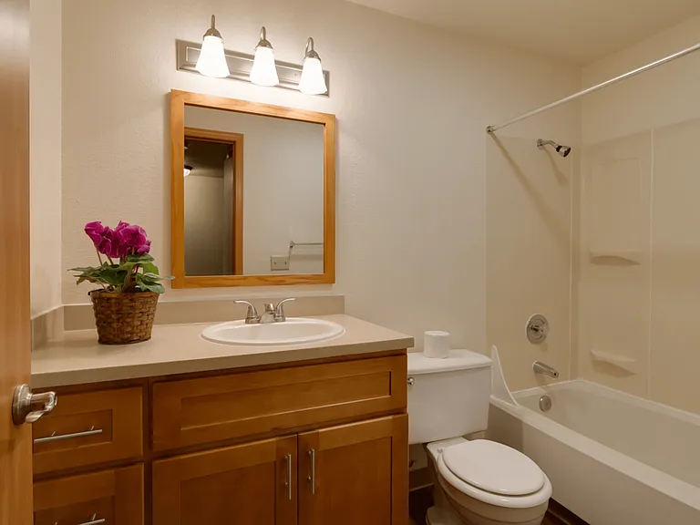 Standard Unit Bathroom