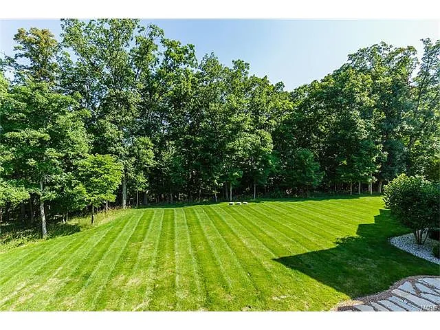713 Crown Pointe Farms photo 1