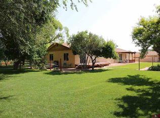3946 Old Wagon Rd, Delta, CO 81416