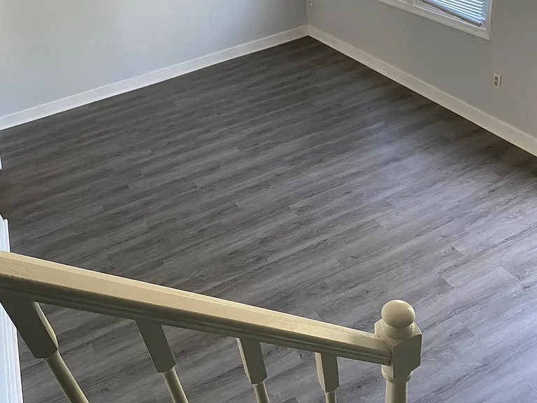 9732 Springfield Woods Cir — Photo 51