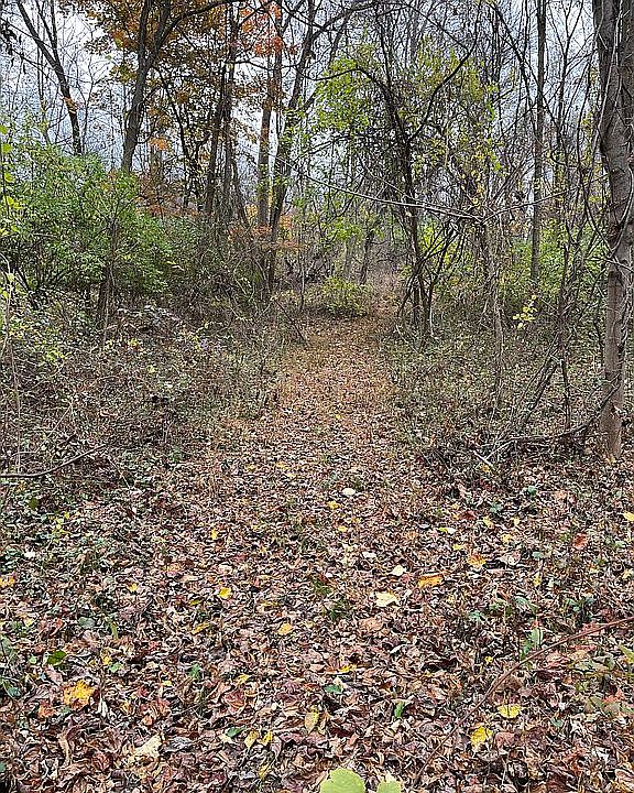 2nd image of 156 Pratts Dam Rd