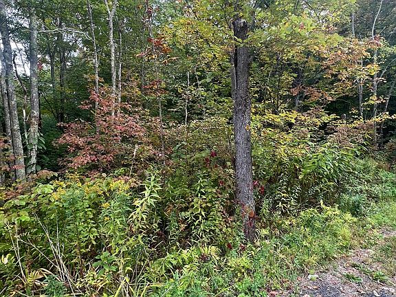 2nd image of 0 Allen Rd