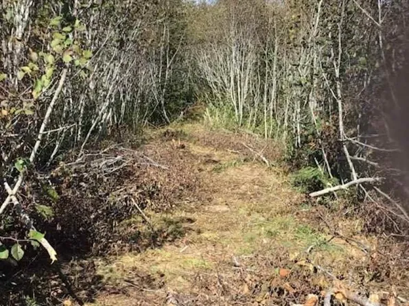 Lake Doucette Rd Lot 1, Clare, NS B0W 2Y0