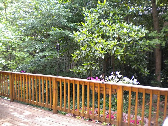 VERY VERY Private Backyard