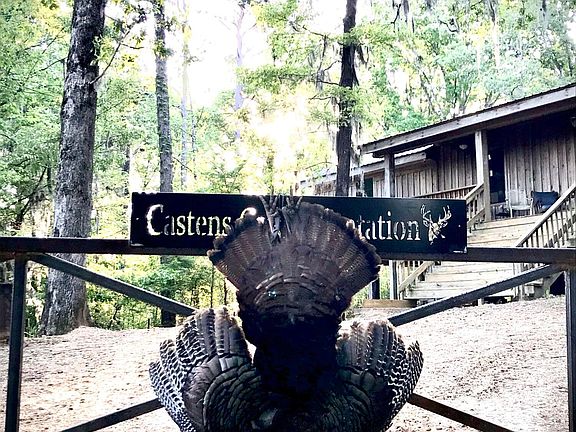 41st image of this home