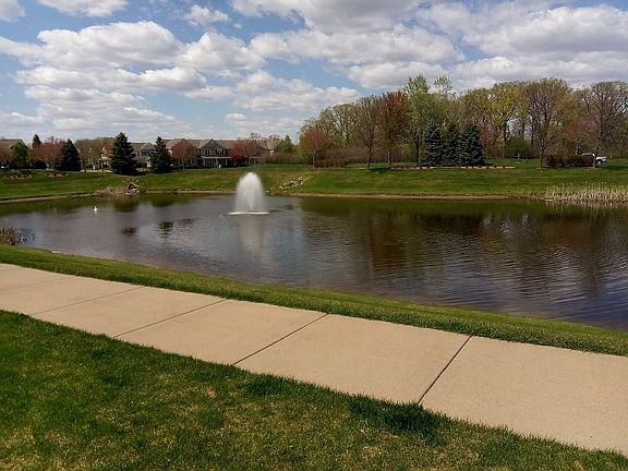 Pond