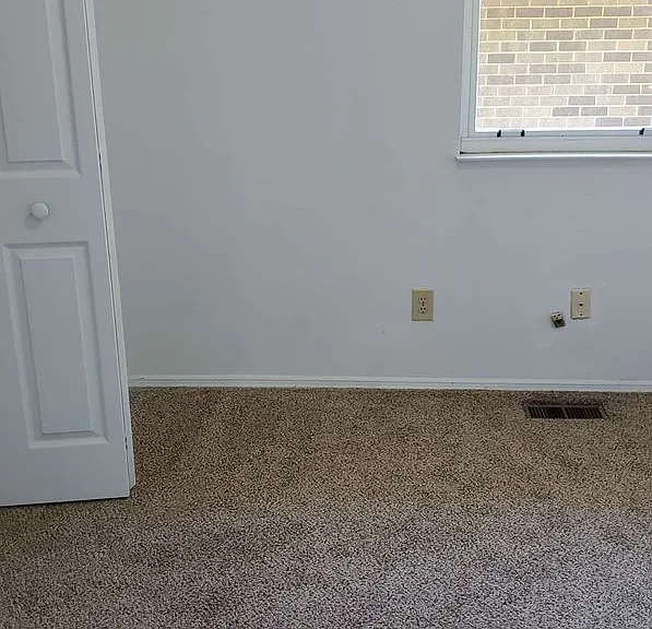 8100 Mount Snow Dr — Photo 3