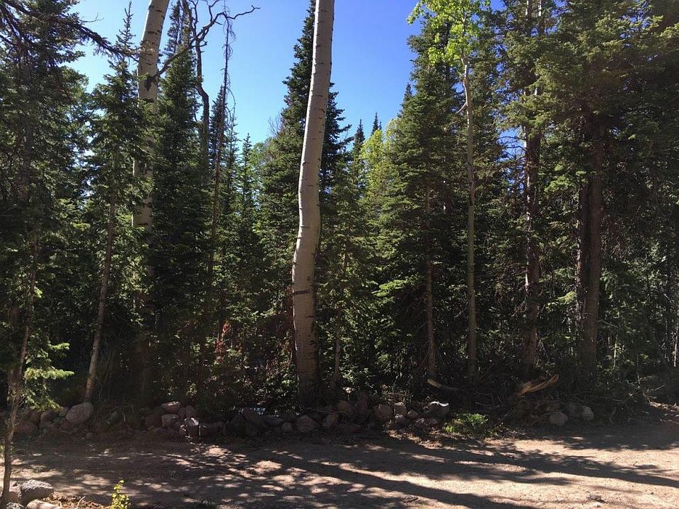 2nd image of 237 E Deer Trl
