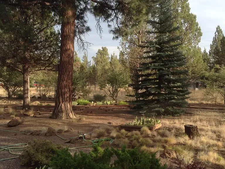 16661 Bitterbrush Ln — Photo 6