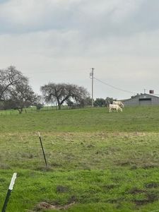 6627 Evergreen Rd, Valley Springs, CA, 95252
