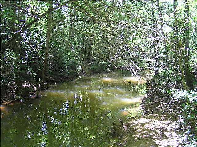 1st image of 231 River Dr