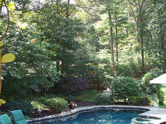 View from deck to pool