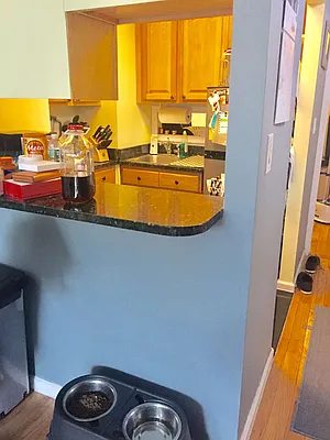 Rented by PennApts | media 12