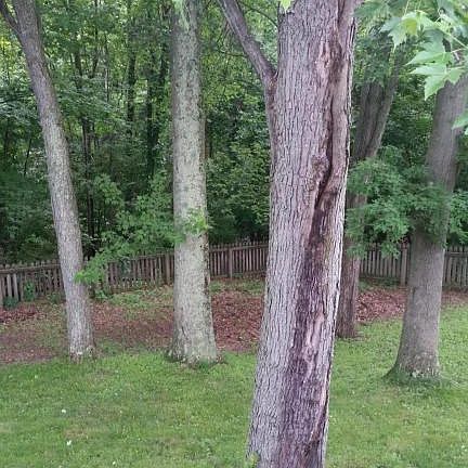 2nd image of 3747 Tanager Dr