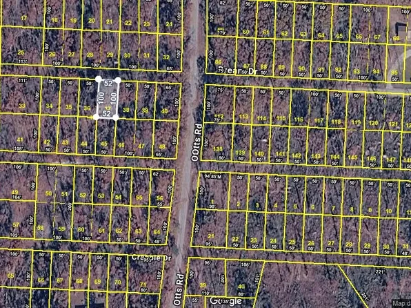 0 Bream Dr Lot 37, Buchanan, TN 38222