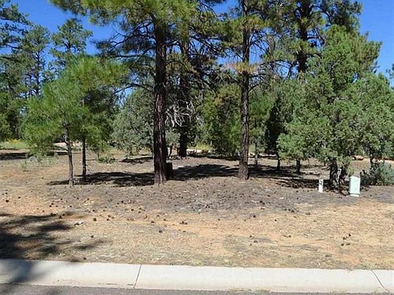 5th image of 4625 Mountain Gate Cir