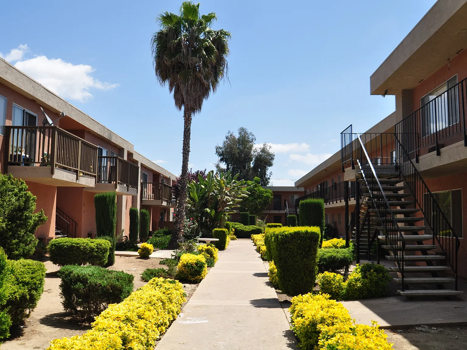 Ashwood Apartments — Photo 4