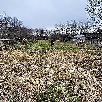 2nd image of 66830 Sterling Hwy