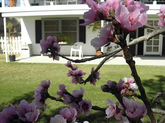 Veiw of back of house