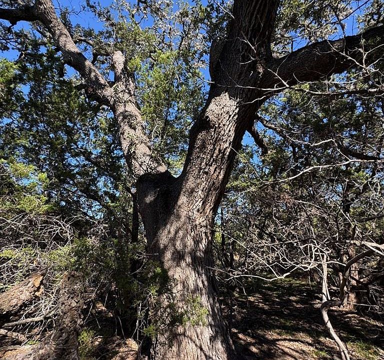 1st image of Fm 2828