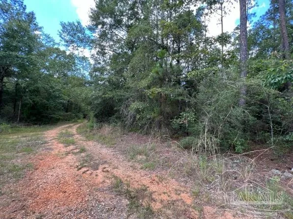 4800 Wolf Log Rd, Flomaton, AL 36441
