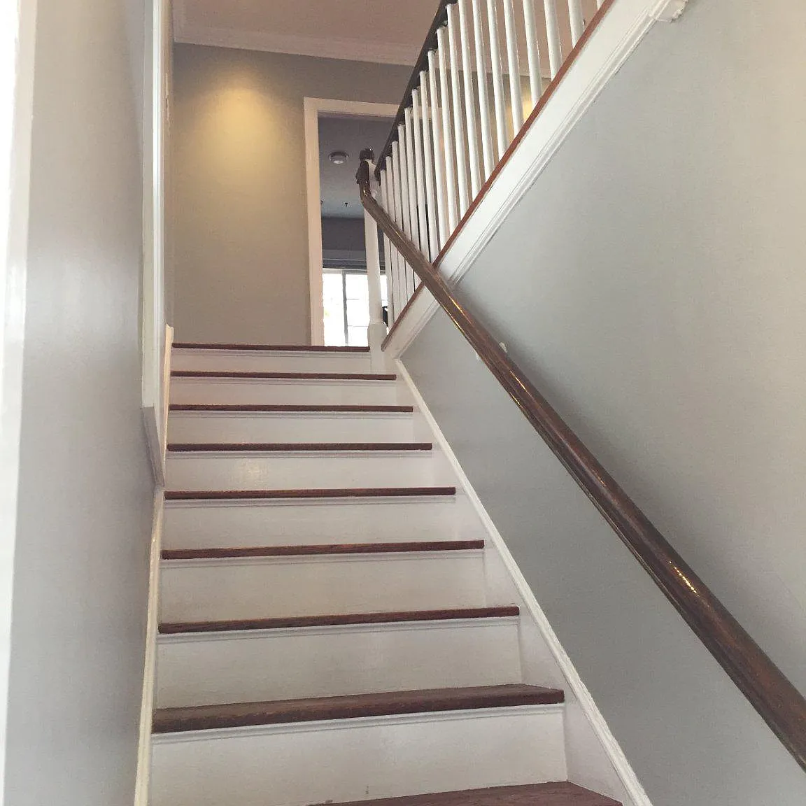 1 bed, 1.0 bath, 805 sqft, $2,300 — Photo 2