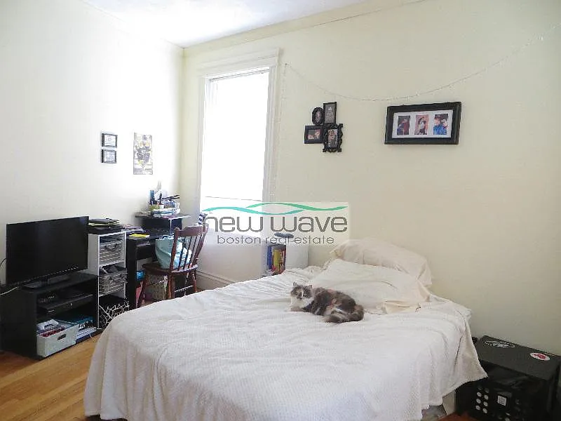 Studio, 350 sqft, $2,300 — Photo 3