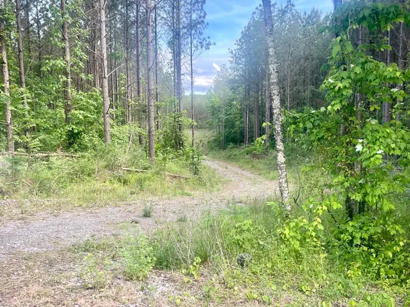 LOT 19 County Road 226, Niota, TN 37826