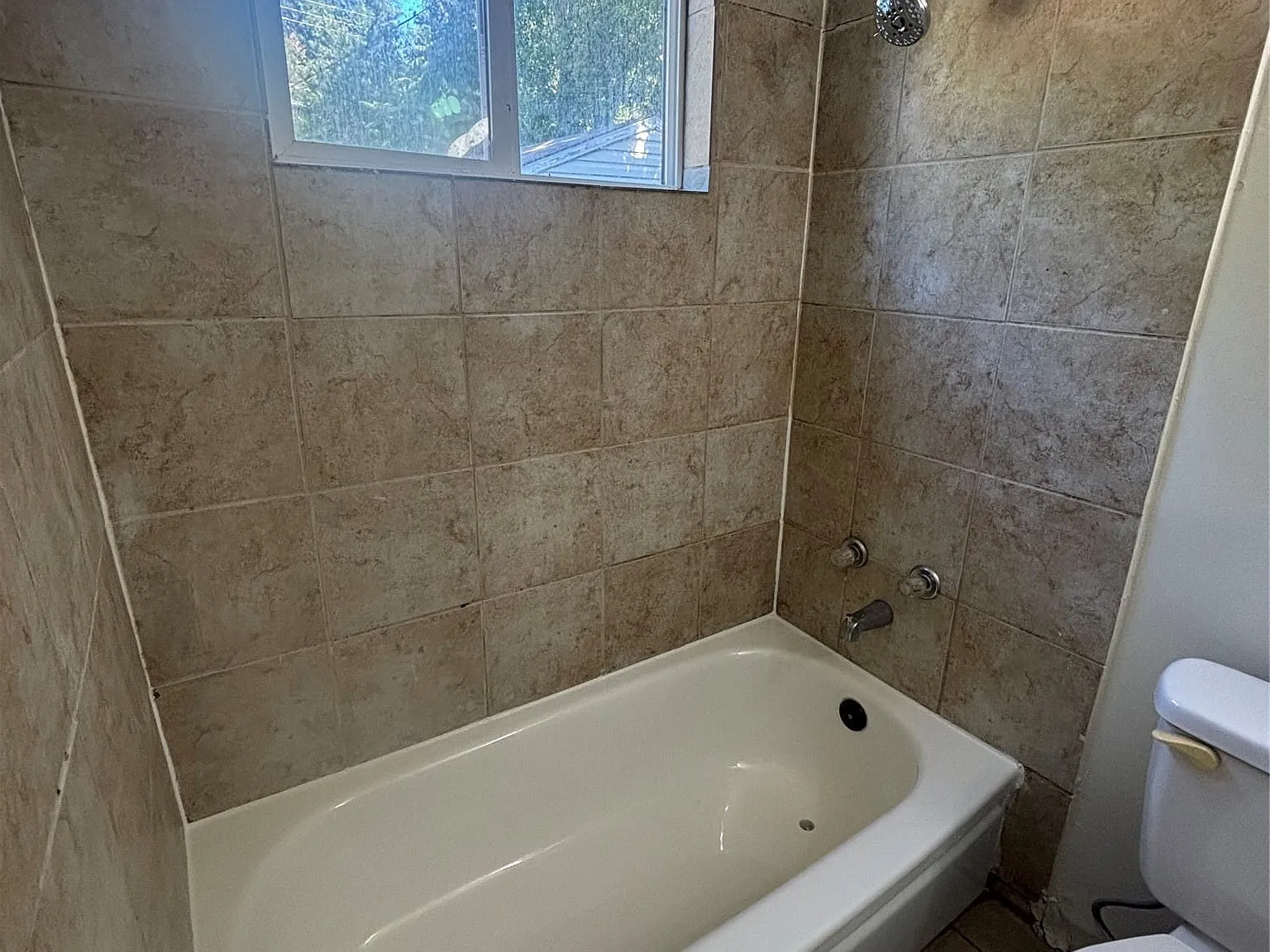 2 bed, 1.0 bath, 780 sqft, $1,250 — Photo 4